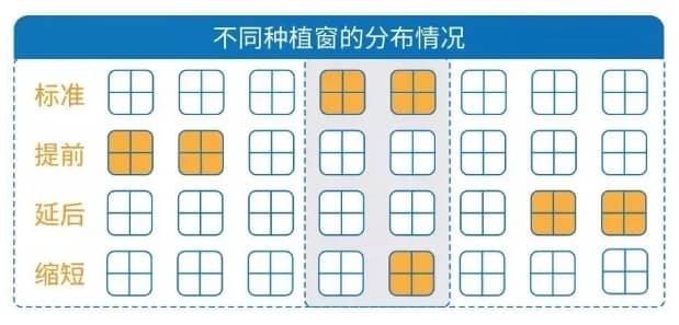 试管婴儿移植前要做哪些检查呢？试管婴儿移植前做好这项检查，活产率可提升3倍！