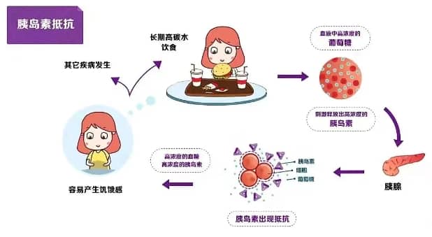 试管婴儿过程中胰岛素抵抗如何影响成功率？如何通过调节胰岛素抵抗提高试管婴儿胚胎质量？