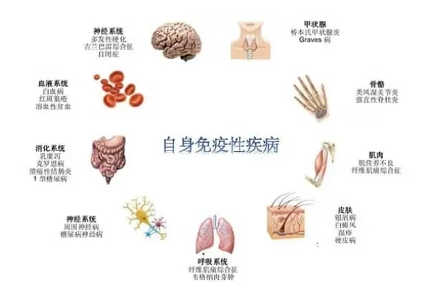 试管婴儿技术中反复移植失败的主要原因是什么？如何解决试管婴儿过程中的免疫因素导致的反复着床失败？