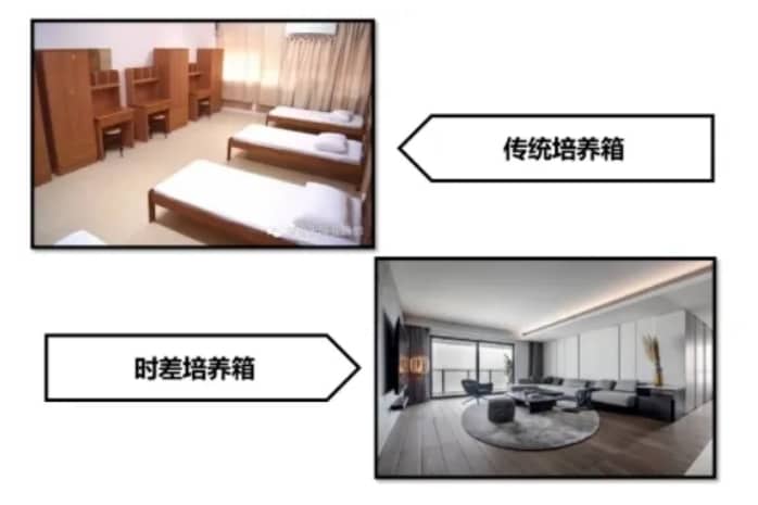 试管婴儿技术中的胚胎时差成像系统有哪些优势？为什么说胚胎时差成像系统能提高试管婴儿的成功率？