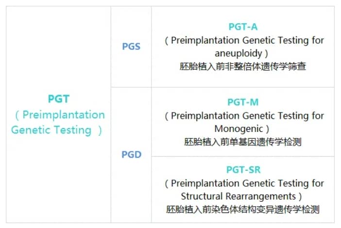 染色体异常的胚胎会着床吗？试管婴儿技术如何帮助有染色体异常风险的夫妻？