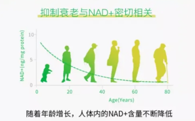 高龄女性做试管婴儿为何养囊总失败？该如何提高试管婴儿中胚胎的质量？