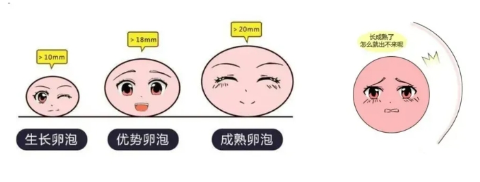 什么是未破裂卵泡黄素化综合征LUFS？LUFS的发病原因有哪些？LUFS患者在生育方面有哪些解决方案？