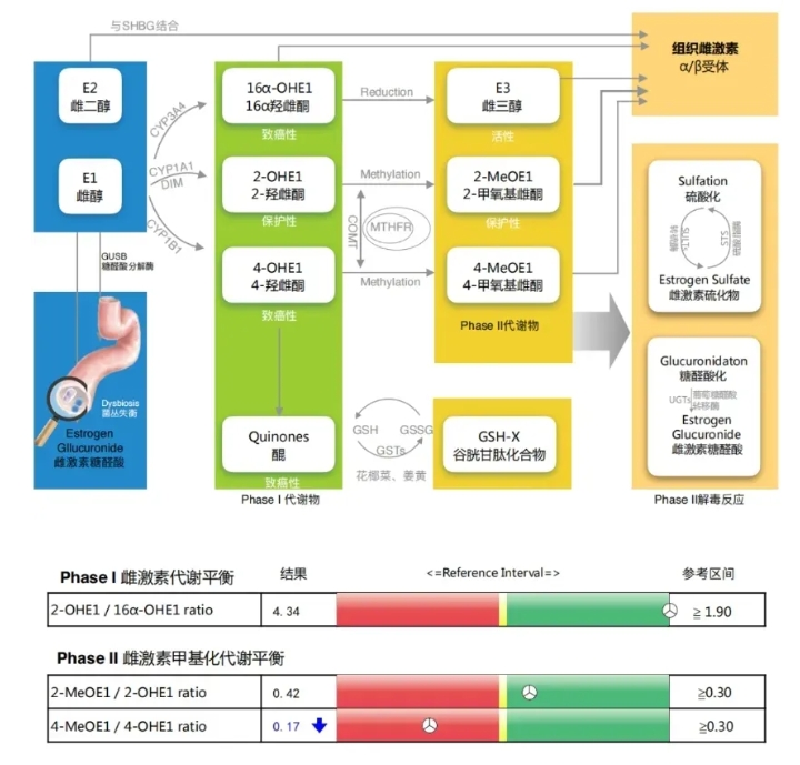 试管婴儿过程中如何提高卵泡质量？试管婴儿反复促排是否会对卵子造成影响？