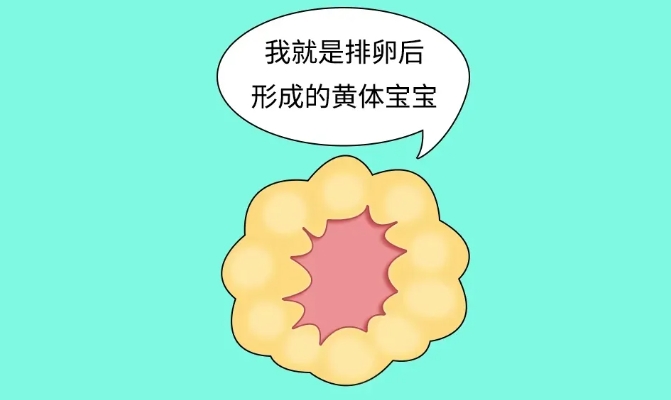 怀得上留不住是什么原因导致的？反复流产的罪魁祸首真的是黄体功能不足吗？黄体酮保胎真的能改变胚胎质量吗？