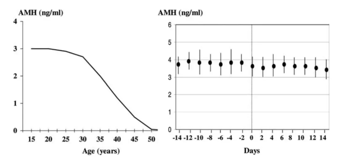 抗苗勒氏管激素AMH从哪来？如何通过功能医学干预提升AMH以改善生育力?