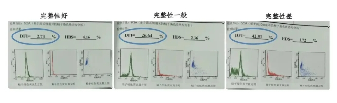 男性哪些问题会导致胎停育？胎停育真的是女性的错吗？男性因素不可忽视！