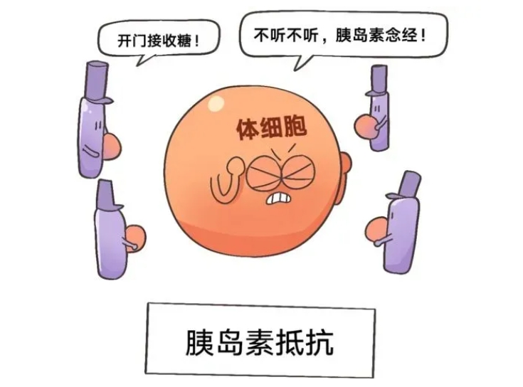 什么是胰岛素抵抗？胰岛素抵抗对试管婴儿有什么影响？如何应对胰岛素抵抗？