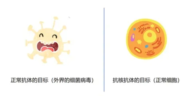 哪些因素会出现绒毛膜下出血？ 早孕期绒毛膜下出血该怎么办？绒毛膜下出血对怀孕有哪些影响？
