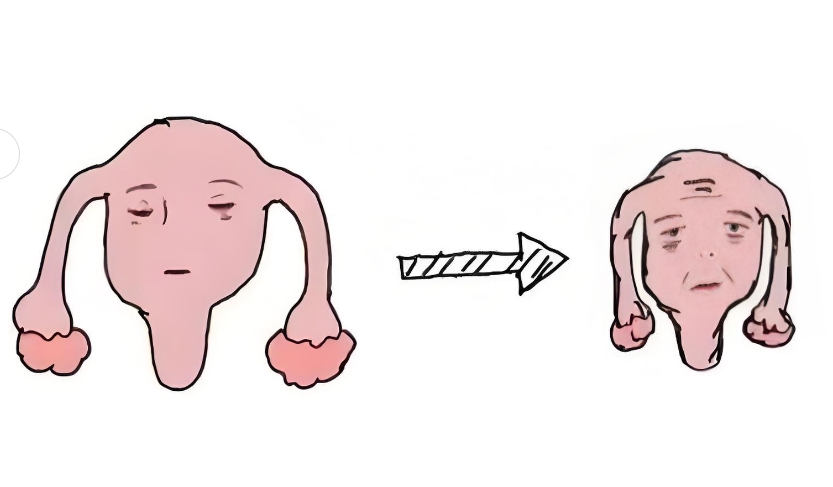 绝经≠不能生孩子！女性怀孕需要具备哪些基础条件呢？绝经后的女性想要怀孕都有哪些途径呢？