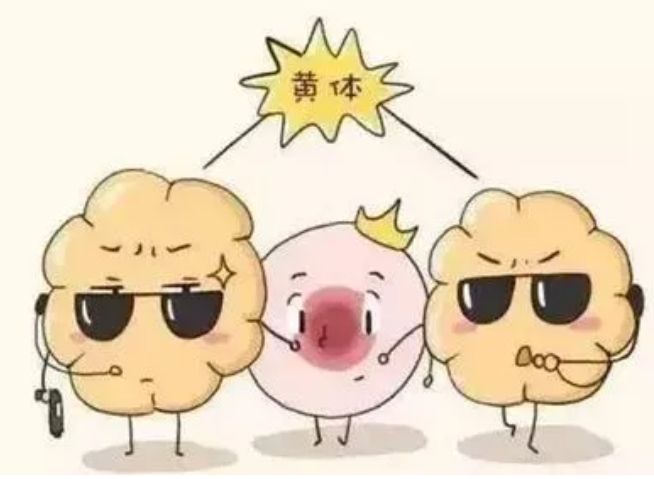 试管着床后生化妊娠究竟是由哪些因素引起的？备孕夫妻应该如何预防生化妊娠的风险？