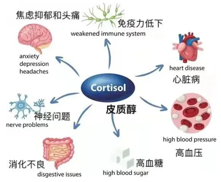 试管着床后生化妊娠究竟是由哪些因素引起的？备孕夫妻应该如何预防生化妊娠的风险？