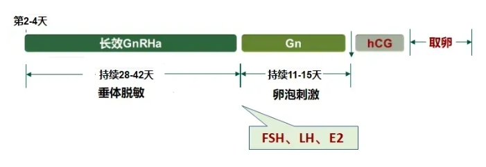 高龄女性做试管婴儿如何选择合适的促排方案？高龄女性试管成功的关键是什么？