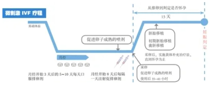 试管婴儿微刺激促排方案真的适合所有高龄备孕女性吗？​微刺激方案的成功率是否真的比传统方案更高？