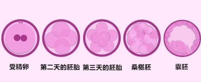 生化妊娠和自然流产究竟有哪些关键区别？​​流产后的心理压力该如何科学疏导？