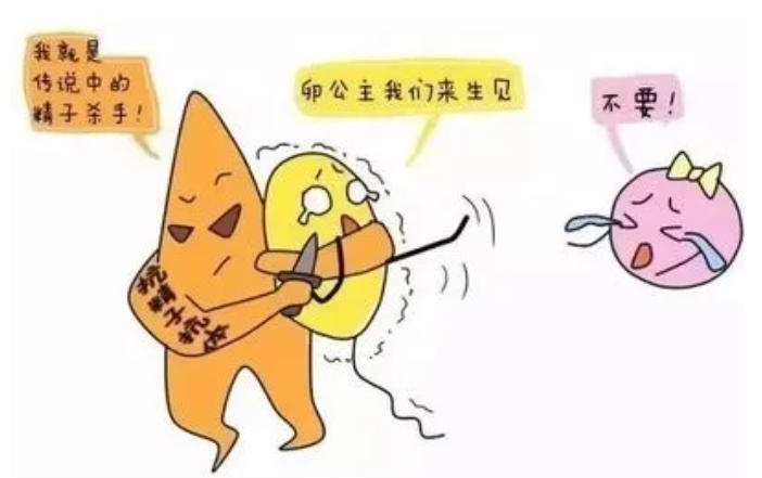 为什么胎停育会毫无征兆？没流血、没腹痛，宝宝怎么就没了？​孕早期激素紊乱如何导致胎停育？