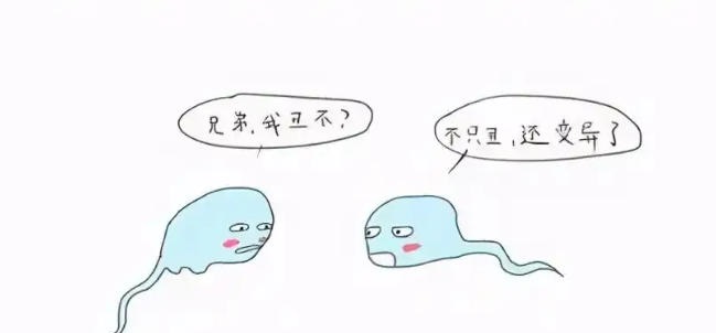 为什么胎停育会毫无征兆？没流血、没腹痛，宝宝怎么就没了？​孕早期激素紊乱如何导致胎停育？