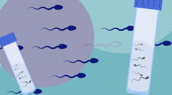 ​冷冻精子真的和新鲜精子成功率一样吗？​精子冷冻几十年的精子解冻后还能用吗？
