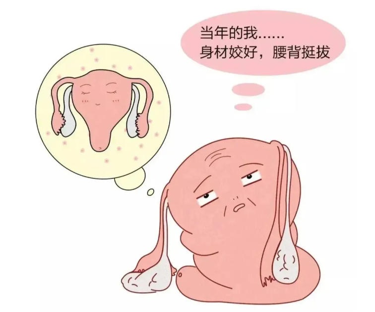 性激素六项为什么要在月经第2-3天检查？排卵期和黄体期的性激素检查分别能揭示什么问题？
