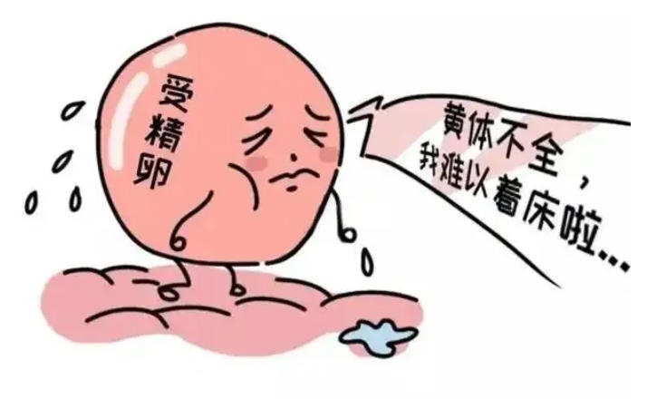 性激素六项为什么要在月经第2-3天检查？排卵期和黄体期的性激素检查分别能揭示什么问题？