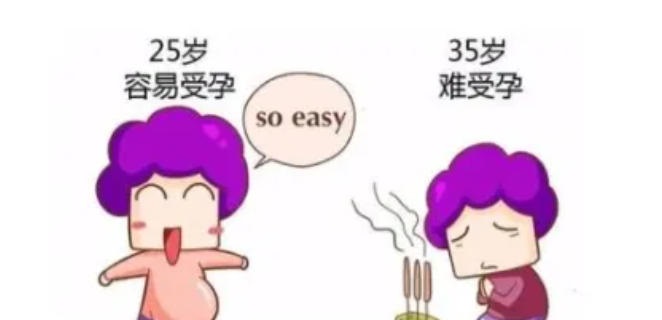 高龄试管真的这么难？从40岁王冕试管胎停事件，读懂高龄备孕的真相！