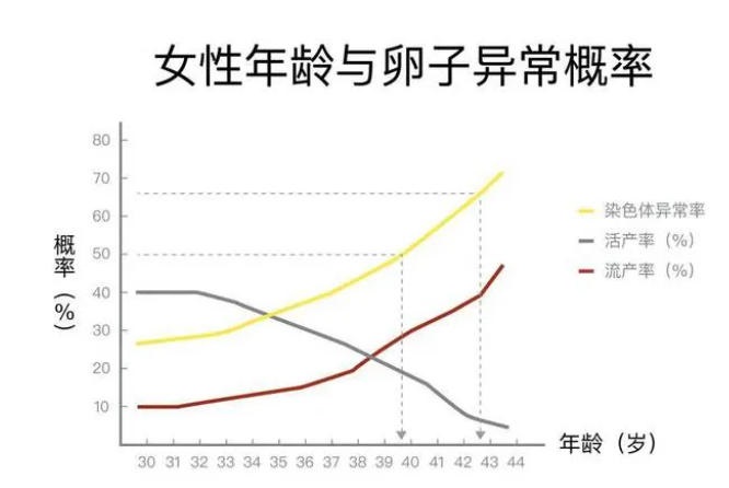 高龄试管真的这么难？从40岁王冕试管胎停事件，读懂高龄备孕的真相！