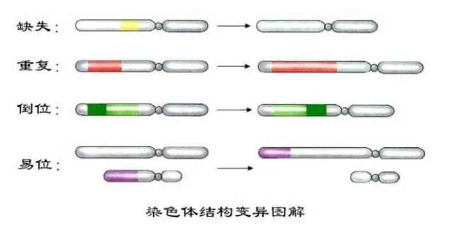 年！16次！3200针！白冰冰自曝试管求子血泪史！高龄生育的医学极限究竟在哪里？"