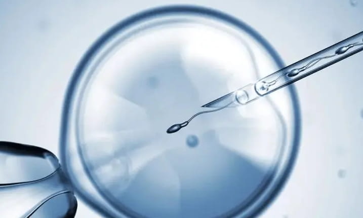 试管婴儿单胚胎是否可以移植？试管婴儿胚胎移植需要注意什么？