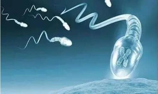 什么是抗精子抗体阳性？精子抗体阳性影响怀孕吗？抗精子抗体阳性能做试管婴儿吗？
