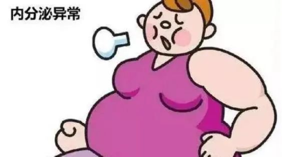 体脂率如何影响试管婴儿成功率？备孕夫妻必知的生育力指标！