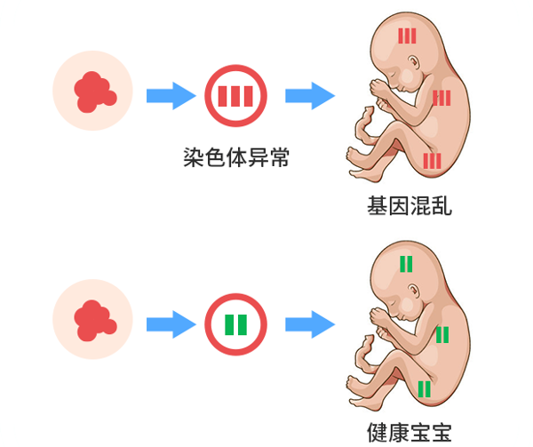 胎停的主因是什么？高龄备孕如何降低风险？导致胎停的6个“隐形杀手”，备孕姐妹要避坑！