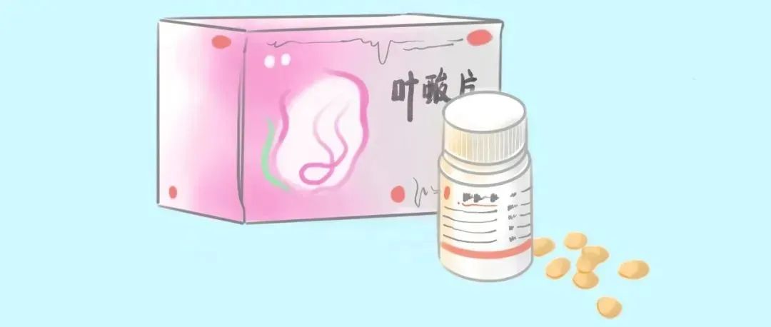 备孕期间必须补充哪些营养素？试管婴儿前必看：如何通过营养调理提高胚胎质量？