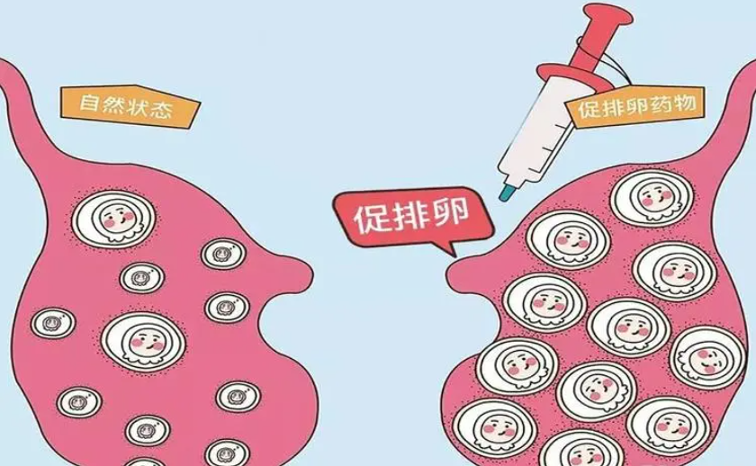月经正常却怀不上?备孕期间如何科学排查不孕原因?月经正常适合做试管婴儿吗? 月经正常却怀不上?备孕期间如何科学排查不孕原因?月经正常适合做试管婴儿吗?