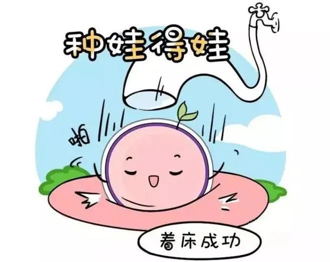 为什么优质胚胎就是不着床？试管婴儿反复失败？可能是这4个宫腔问题在作祟！