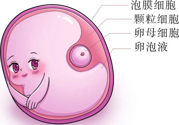 备孕总是失败？这个生育“杀手”，你可能每天都在接触！