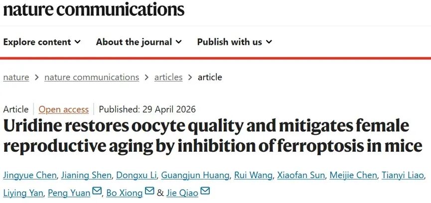 试管婴儿反复失败?备孕迟迟没动静?如何科学干预才能让备孕之路更顺畅? 试管婴儿反复失败?备孕迟迟没动静?如何科学干预才能让备孕之路更顺畅?