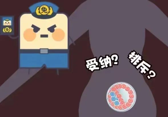 免疫系统会影响怀孕吗？如何调节免疫提高受孕率？如何进行免疫调节？