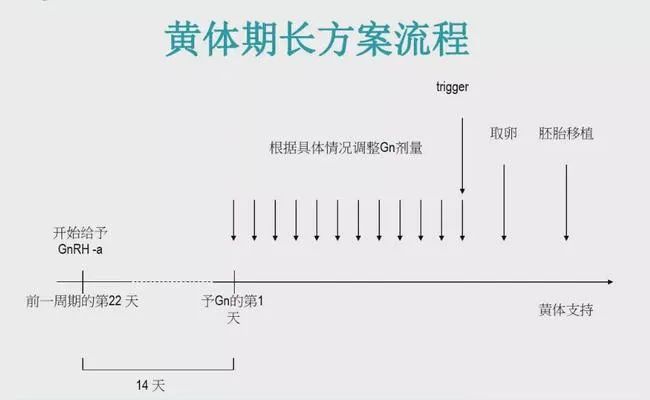 试管婴儿促排方案怎么选？最全试管促排方案合集，哪种适合你？