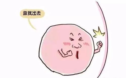 备孕总失败？你的精子和卵子可能正在'摆烂'！这些生殖冷知识你一定要知道