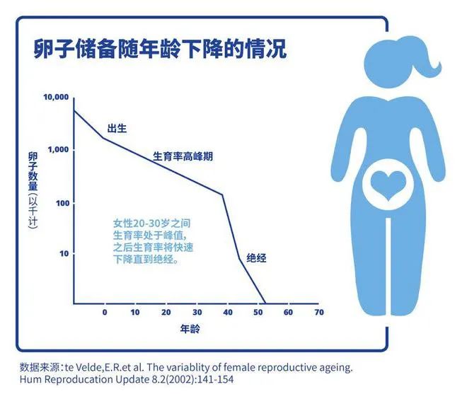 备孕总失败？你的精子和卵子可能正在'摆烂'！这些生殖冷知识你一定要知道