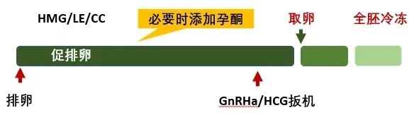 试管婴儿促排方案怎么选？最全试管促排方案合集，哪种适合你？