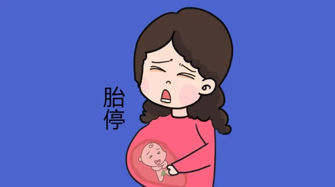 胎停的主因是什么？高龄备孕如何降低风险？导致胎停的6个“隐形杀手”，备孕姐妹要避坑！