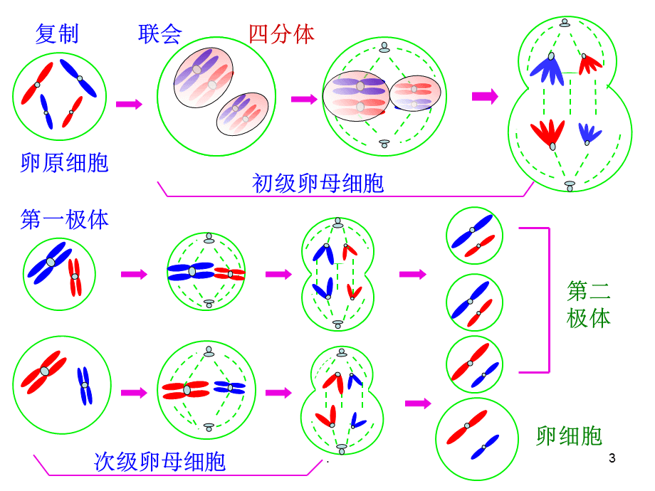 卵子成熟障碍还有机会怀孕吗？卵子成熟障碍患者如何实现生育梦想？