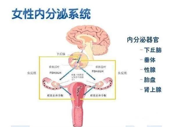 防晒霜会影响怀孕吗？备孕期间如何安全防晒？备孕女性必知的OMC成分危害！