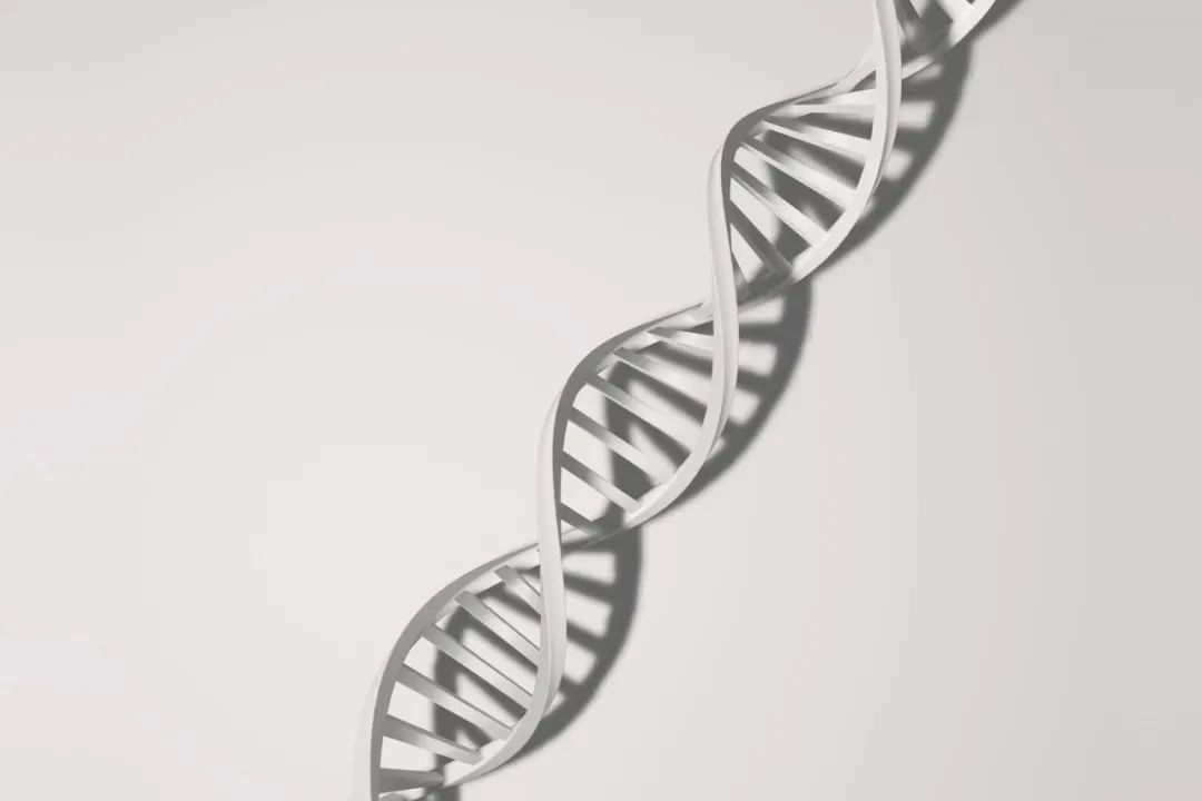 高龄备孕必看：嵌合体胚胎还能成功妊娠吗？如何应对嵌合体胚胎的风险？