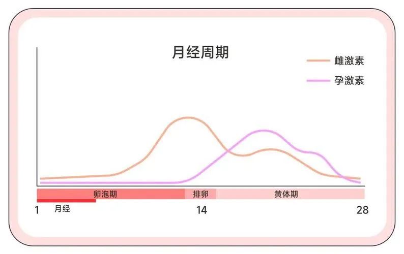 为什么优质胚胎就是不着床？试管婴儿反复失败？可能是这4个宫腔问题在作祟！