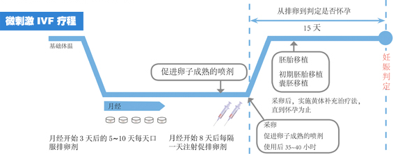 微刺激方案适合哪些人？高龄试管患者的福音，用对方法可以“逆风翻盘”！