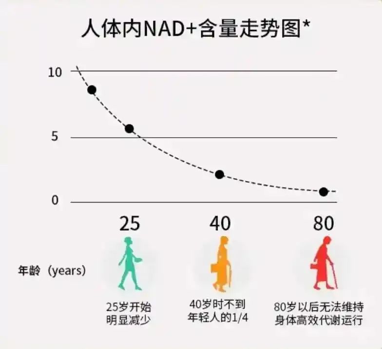 高龄备孕难？染色体异常率高？卵子质量差怎么办？卵子「未老先衰」的2大原因