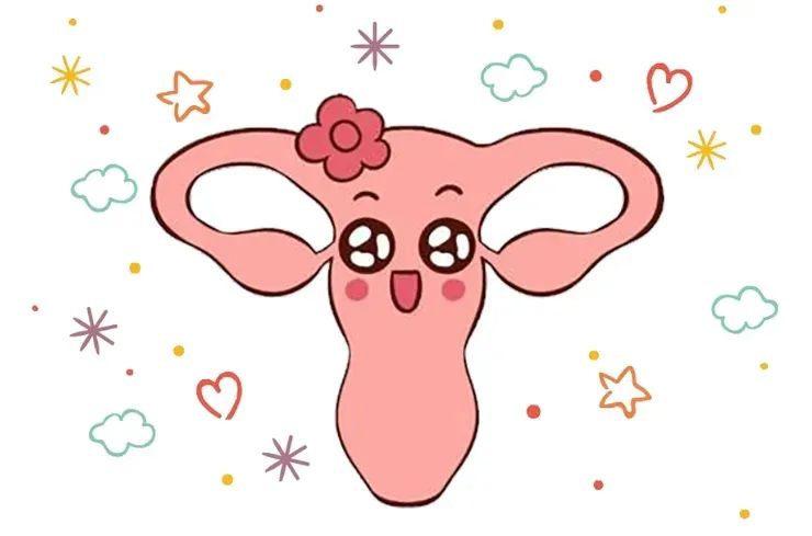 反复流产是子宫问题？备孕前如何科学养护子宫？备孕前养好子宫，流产风险降七成！