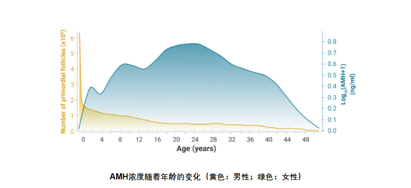 AMH数值低怎么办？AMH值低还能怀孕吗？备孕女如何科学提升AMH值？